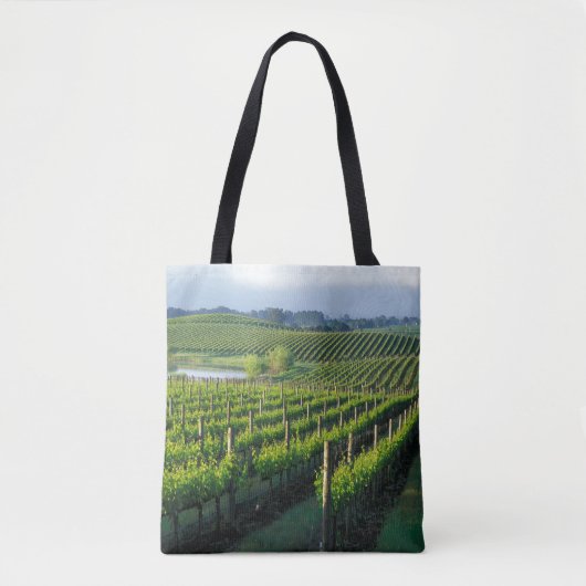 Grapevinen in feinen Reihen im Napa in Kalifornien Tasche (Vorderseite)