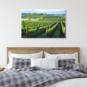 Grapevinen in ordentlichen Reihen in Napa in Kalif Leinwanddruck (Insitu (Schlafzimmer))
