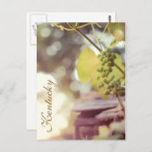 Grapevinen und Birdhouses von JerseyFawn Postkarte (Vorne/Hinten)