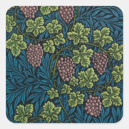  Grapevines with clusters of pink grapes  Quadratischer Aufkleber (Vorderseite)