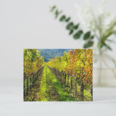 Grapewinen-Reihe im Napa-Tal Kalifornien Postkarte (Stehend Vorderseite)