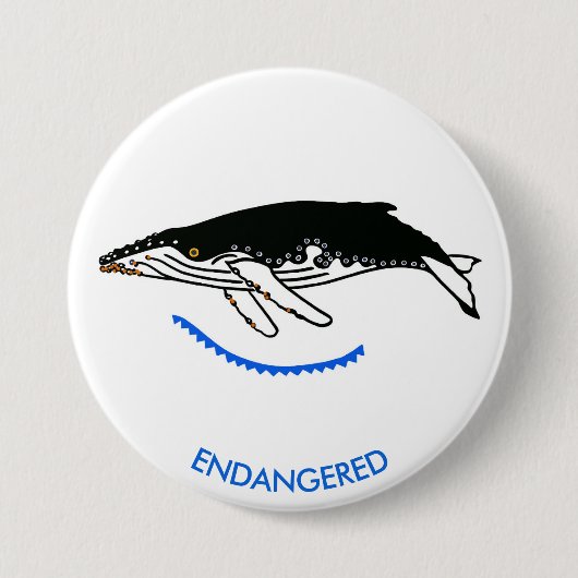 Graphic - Humpback WHALE - Wildlife - Nature- Button (Vorderseite)