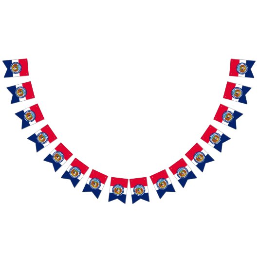 Graphic of Dynamic Missouri State Flag Wimpelkette (Alle)