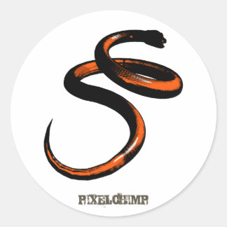 Graphic Snake Orange Runder Aufkleber