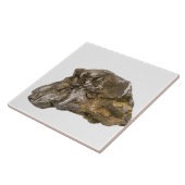 Graphit, Danville, Vermont, USA Fliese (Seite)