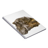 Graphit, Danville, Vermont, USA Notizblock (Rechte Seite)