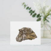 Graphit, Danville, Vermont, USA Postkarte (Stehend Vorderseite)