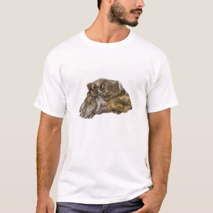 Graphit, Danville, Vermont, USA T-Shirt