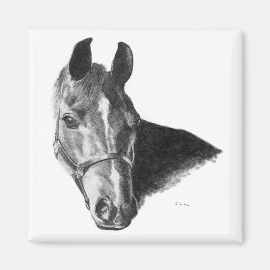 Graphite Horse Head Magnet (Vorne)