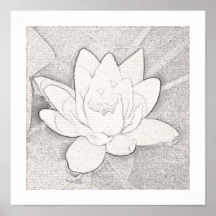 GRAPHITE LOTUS BLUME ART POSTER