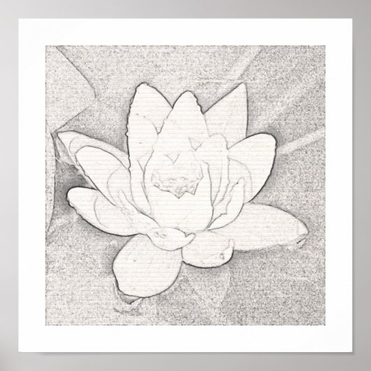 GRAPHITE LOTUS BLUME ART POSTER (Vorne)