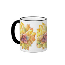 Graptopetalum Kaffee-Tasse