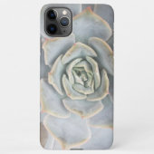 Graptoveria Huths Pink Electronics Bag iPhone Hülle (Rückseite)