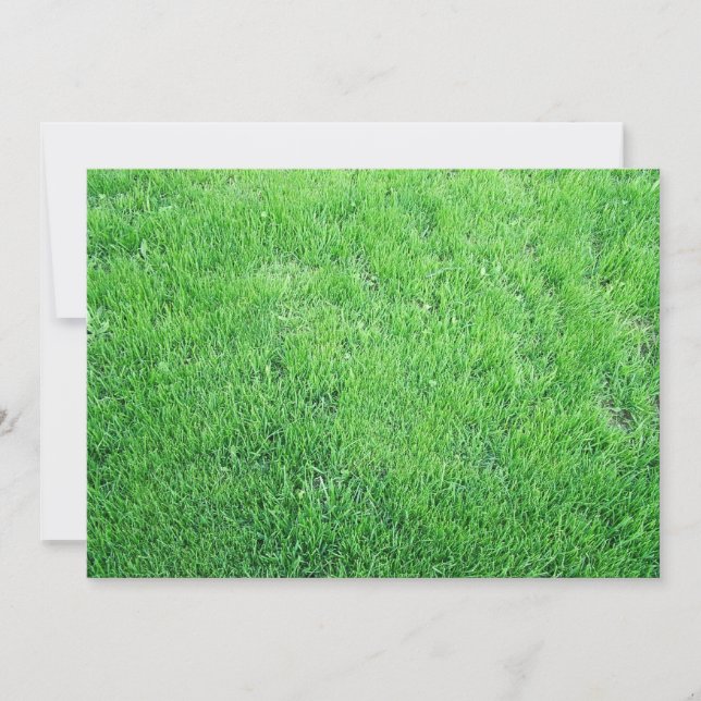 Gras (Vorderseite)