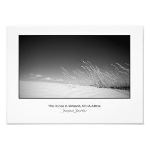 Gras auf Düne Fotodruck