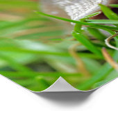 Gras essen poster (Ecke)