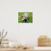 Gras essen poster (Küche)