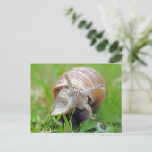 Gras essen postkarte (Stehend Vorderseite)