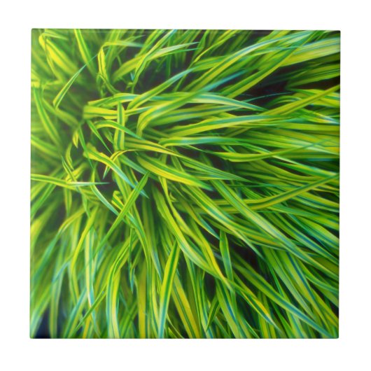 Gras Fliese (Vorderseite)