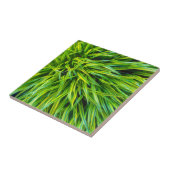 Gras Fliese (Seite)