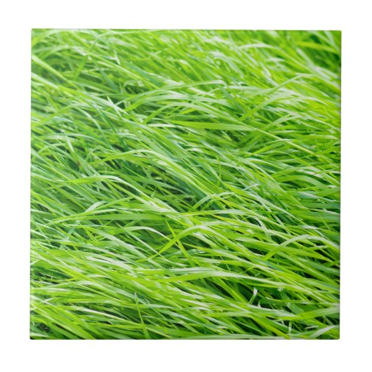 Gras Fliese (Vorderseite)