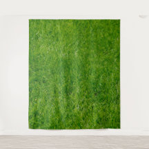 Gras-Foto-Hintergrund-Tapete