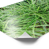 Gras Fotodruck (Ecke)