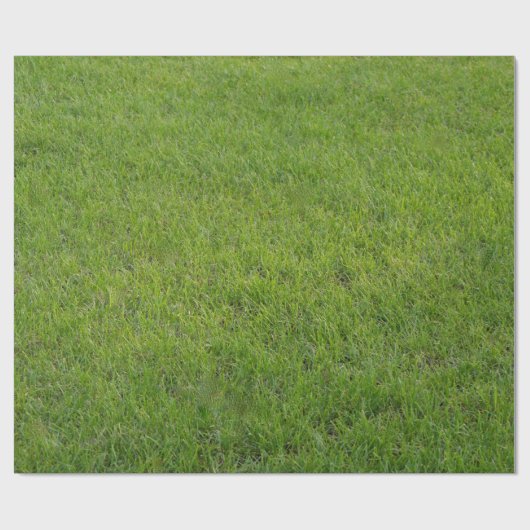 Gras, Geschenkpapier (Flach)