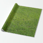 Gras, Geschenkpapier (Ungerollt)