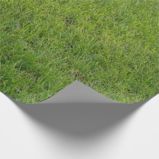 Gras, Geschenkpapier (Ecke)