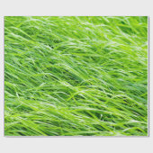 Gras Geschenkpapier (Flach)