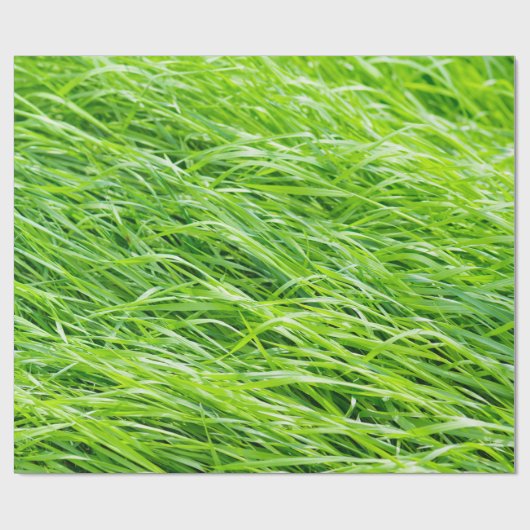 Gras Geschenkpapier (Flach)