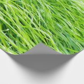 Gras Geschenkpapier (Ecke)
