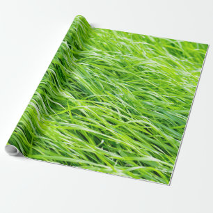 Gras Geschenkpapier