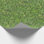 Gras Geschenkpapier (Ecke)