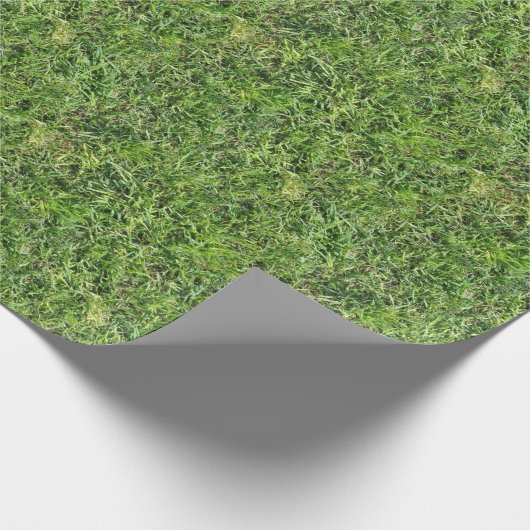 Gras Geschenkpapier (Ecke)