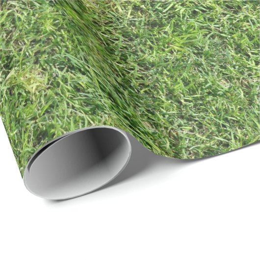 Gras Geschenkpapier (Rolleneckpunkt)