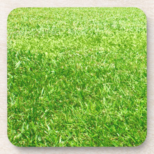 Gras Getränkeuntersetzer (Vorderseite)