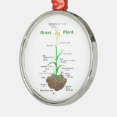 Gras Graminoids Pflanzen-Diagramm Silbernes Ornament (Links)