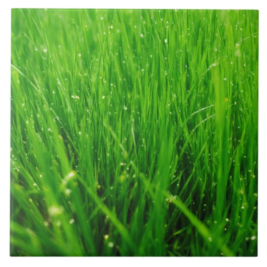 Gras-Keramik Fliese (Vorderseite)