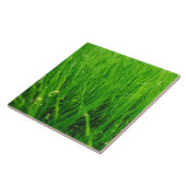 Gras-Keramik Fliese (Seite)