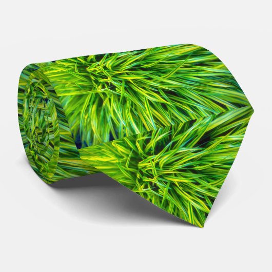 Gras Krawatte (Gerollt)