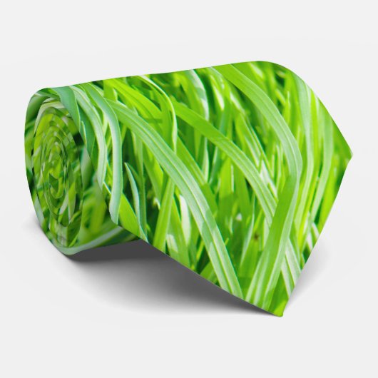 Gras Krawatte (Gerollt)