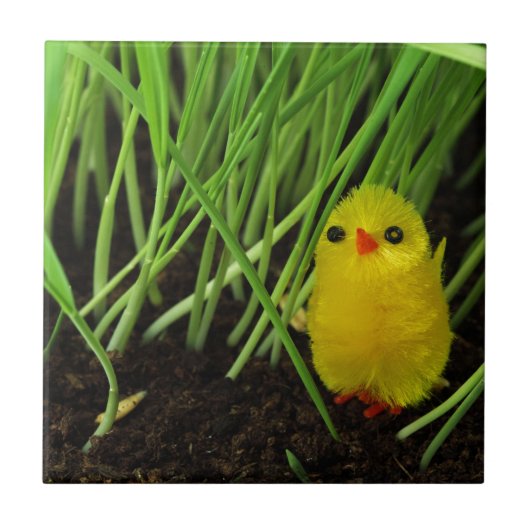 Gras Küken Fliese (Vorderseite)