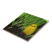 Gras Küken Fliese (Seite)