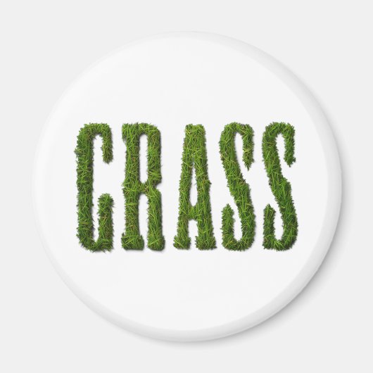 GRAS MAGNET (Vorne)