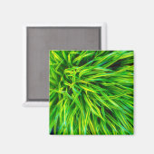 Gras Magnet (Vorderseite/Rückseite)
