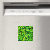 Gras Magnet (In Situ (Geschirrspüler))