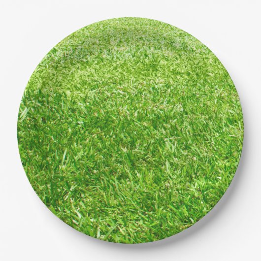 Gras Pappteller (Vorderseite)