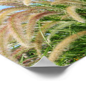 Gras Poster (Ecke)